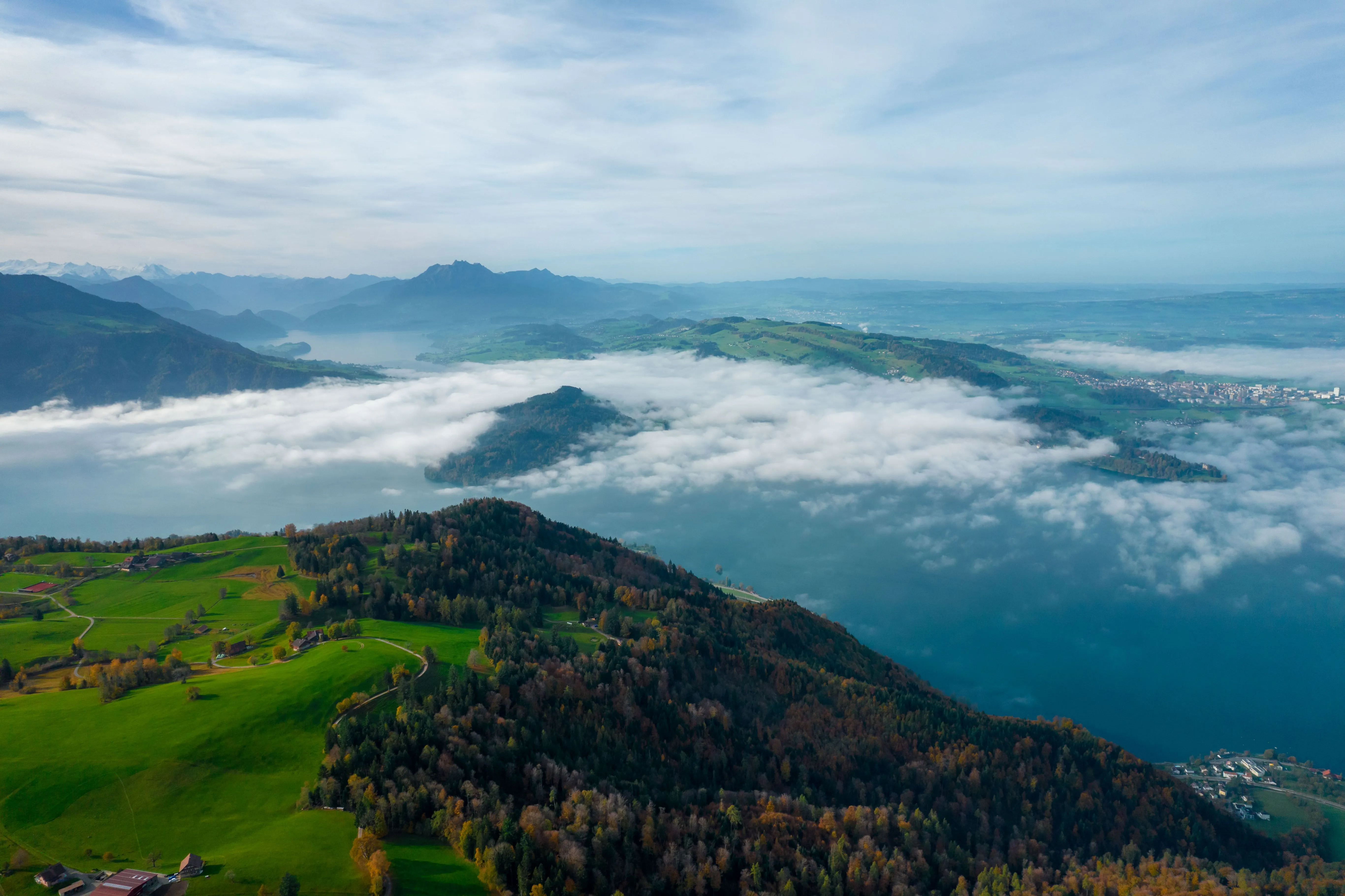 Spezialreinigung Saisonale Teppichreinigungsanleitung